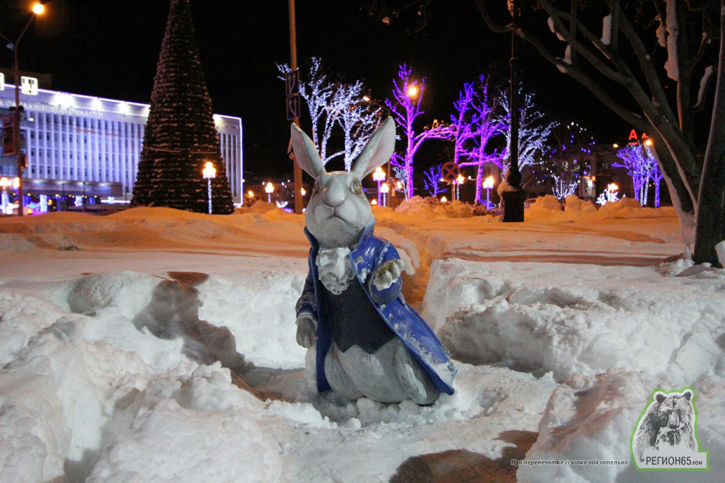 Южно-Сахалинск зима снег ночь