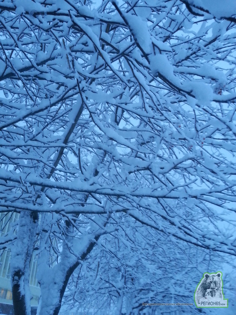 сахалин метель снег