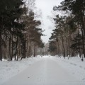 Парк в Южно-Сахалинске