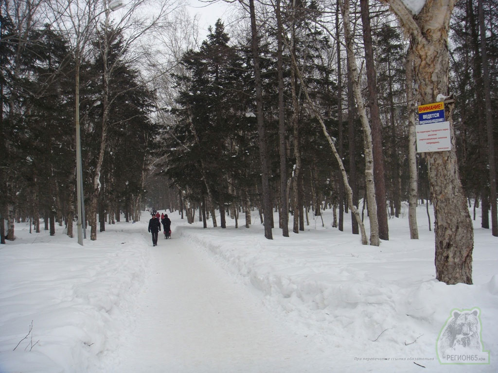 Парк в Южно-Сахалинске