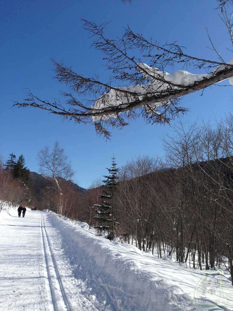 Прогулка по окраинам Южно-Сахалинска зима 2014