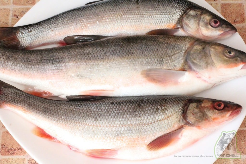 Кулинарный рецепт с фотографиями как быстро вкусно приготовить рыбные котлеты из красноперки